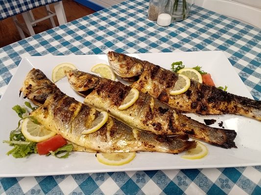 Taste of Gyro | Astoria by null