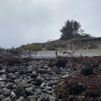 MacKerricher State Park - Parks Near Me - Fort Bragg, California