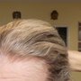 Photo of Honey Hair