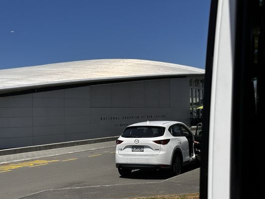National Aquarium of New Zealand by null