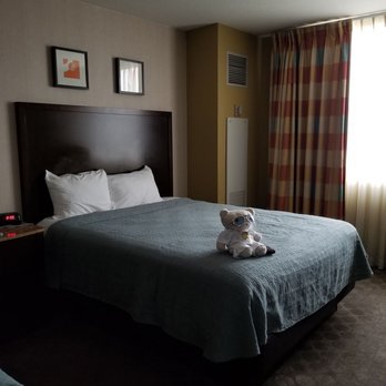 Circus Circus - One of the 2 Queen beds in our room with our Elvis bear! - Hotels Near Me - Las Vegas, Nevada