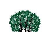 Deerpath Community Park Logo