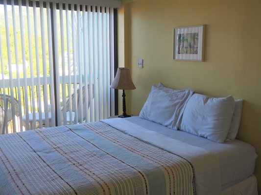 The Green Iguana Hotel by null