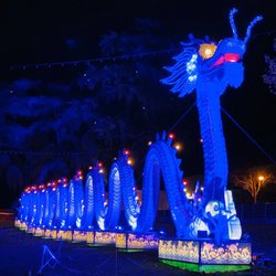 Chinese Lantern Festival - Dragon display