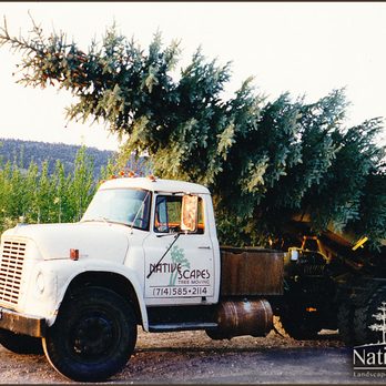 NativeScapes - Landscaping in Big Bear by NativeScapes - Landscaping Near Me - Big Bear Lake, California NativeScapes - Landscaping in Big Bear by NativeScapes - Landscaping Near Me - Big Bear Lake, California
