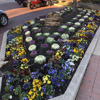 Toasted Walnut Table and Market - Landscaping in the Celina Square. - Comfort Food Near Me - Celina, Texas Toasted Walnut Table and Market - Landscaping in the Celina Square. - Comfort Food Near Me - Celina, Texas