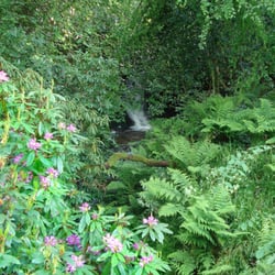 Gourock Park - Gourock Burn, Gourock Park
