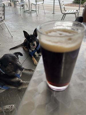 Vernal Brewing Co by null