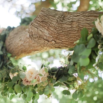 A Beautiful Day Productions - The beautiful floral garland Jocelyn created! - Flowers & Gifts Near Me - Ventura, California A Beautiful Day Productions - The beautiful floral garland Jocelyn created! - Flowers & Gifts Near Me - Ventura, California