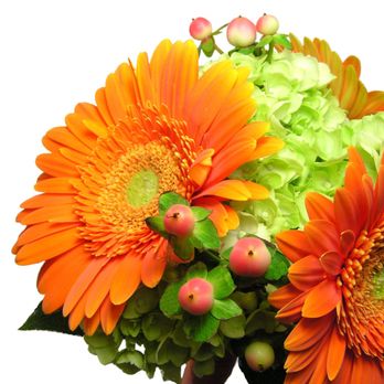 Summers Garden - Florists Near Me - Kenosha, Wisconsin