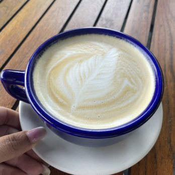Terra Cafe - Cafes Near Me - Morgantown, West Virginia Terra Cafe - Cafes Near Me - Morgantown, West Virginia