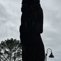 Buddy Todd Park