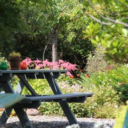 Wild Honey Inn