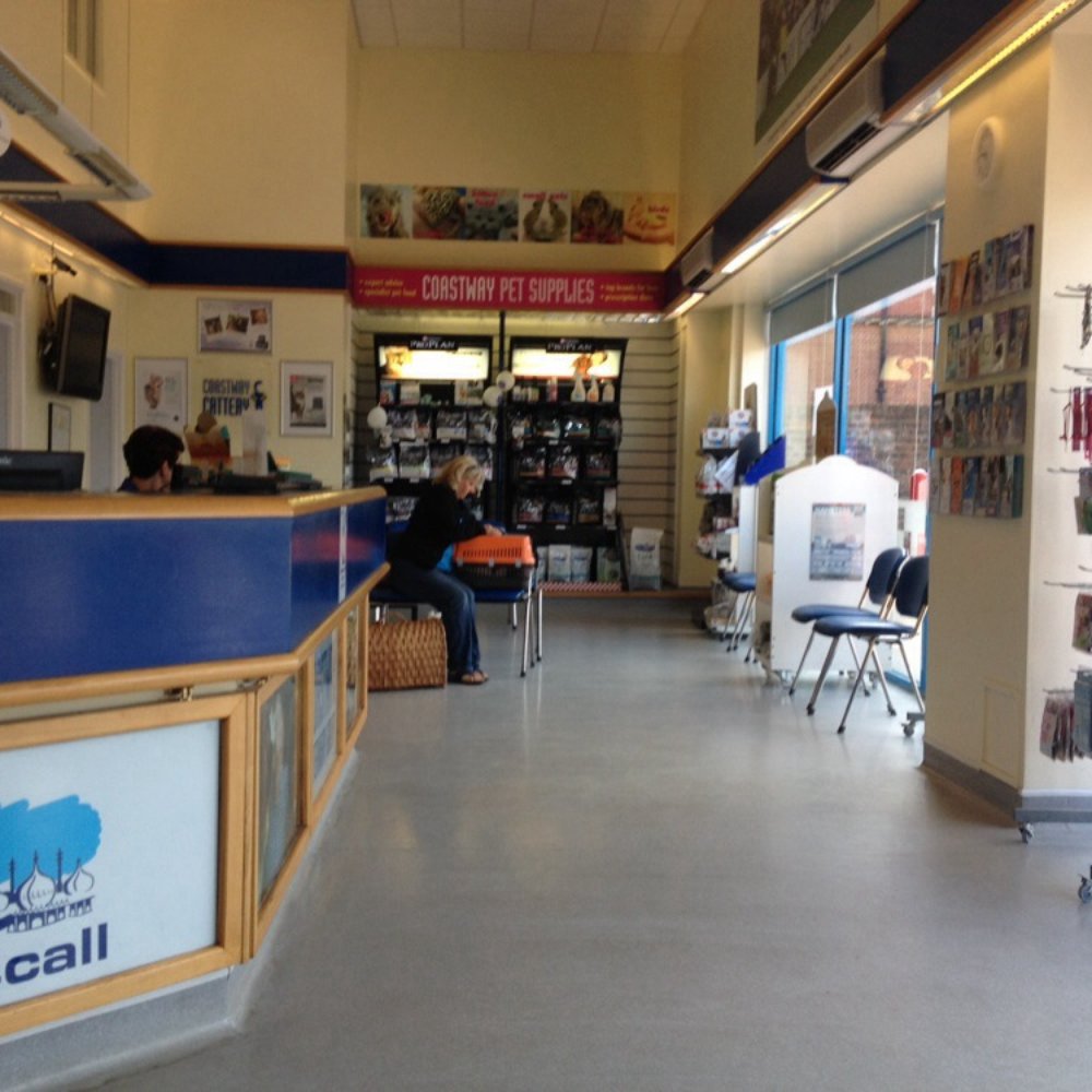 Coastway Veterinary Clinic - Lovely waiting area! - Veterinarians Near Me - Brighton, BNH