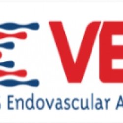 Vascular & Endovascular Associates