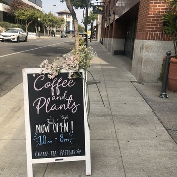 Coffee and Plants - Street sign - Coffee & Tea Near Me - Pasadena, California