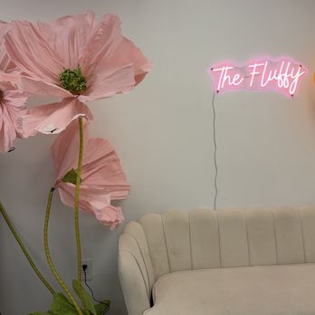The Fluffy Cake - Desserts Near Me - Lowell, Massachusetts The Fluffy Cake - Desserts Near Me - Lowell, Massachusetts