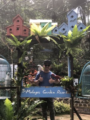 Malagos Garden Resort by null