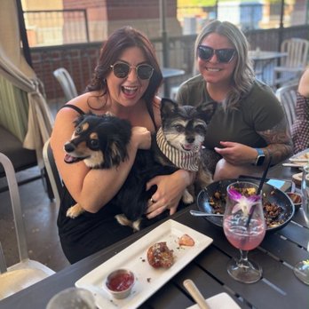 Foch Café & Bistro - Outside patio area was very dog friendly! - New American Near Me - Tempe, Arizona Foch Café & Bistro - Outside patio area was very dog friendly! - New American Near Me - Tempe, Arizona