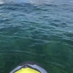 Puerto Rico Sidecars - Jet skies it is.... Awesome time.... The water was great. We even did paddle boarding.