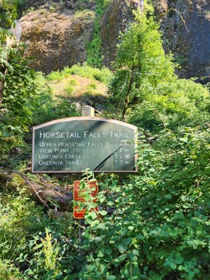 Horsetail Falls by null