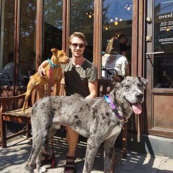 NYC Doggystyle - Corey sends the best update photos - Dog Walkers Near Me - New York, New York