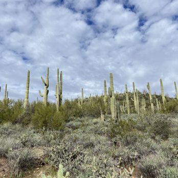 SPUR CROSS RANCH CONSERVATION AREA - Updated January 2026 - 272 Photos ...