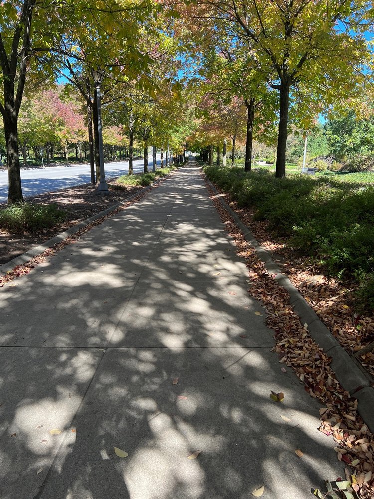 Headwaters Park - wedding in Fort Wayne, IN