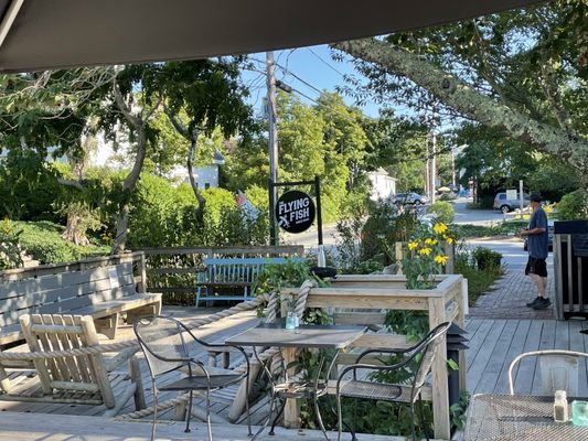 The Flying Fish by null