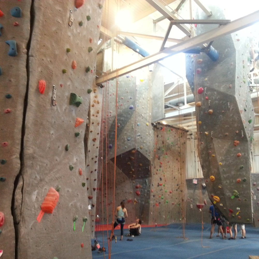 True North Climbing - Climbing Near Me - Toronto, Ontario True North Climbing - Climbing Near Me - Toronto, Ontario