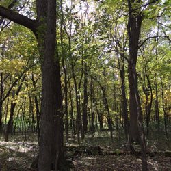 Rice Creek North Regional Trail