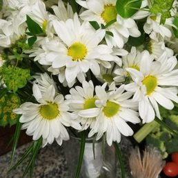 Boho Bride white daisies! Boho Bride white daisies!