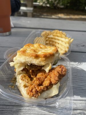 Handsome Biscuit by null