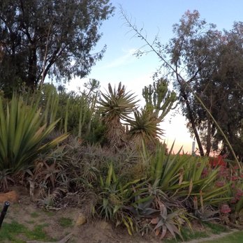 Desert Garden - Parks Near Me - San Diego, California
