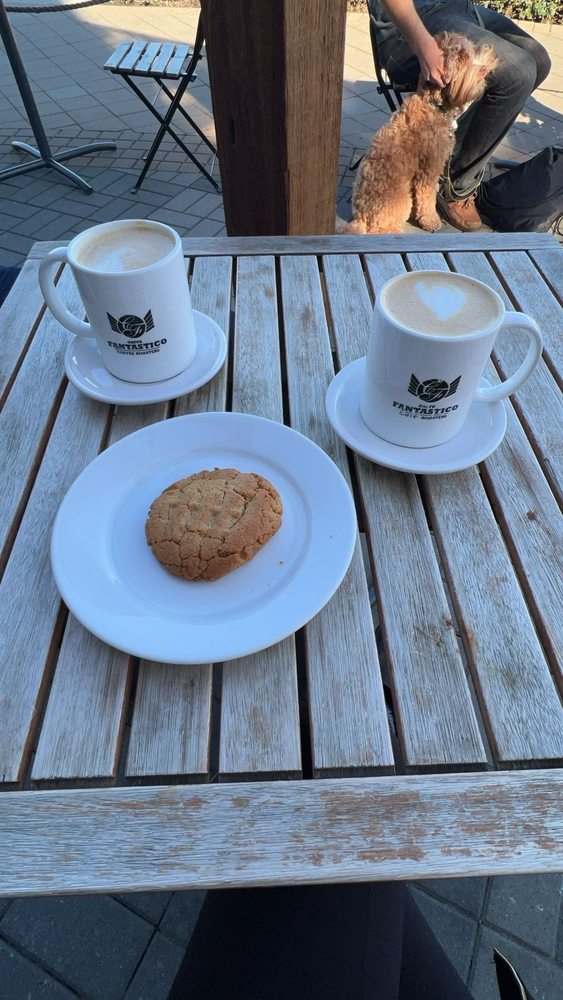 CAFFE FANTASTICO Updated October 2024 17 Photos & 37 Reviews 398