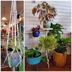 Nature's Treasures - Macrame plant hangers and plant stands