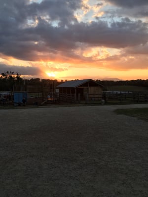 The Farm Byron Bay by null