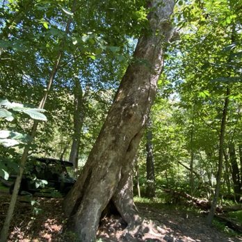 Valley Falls State Park - Parks Near Me - Fairmont, West Virginia
