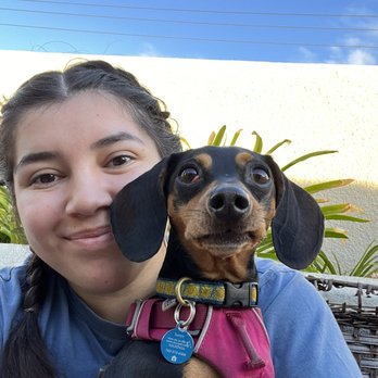Kearny Mesa Veterinary Center - Sunny before her cherry eye surgery - Veterinarians Near Me - San Diego, California Kearny Mesa Veterinary Center - Sunny before her cherry eye surgery - Veterinarians Near Me - San Diego, California