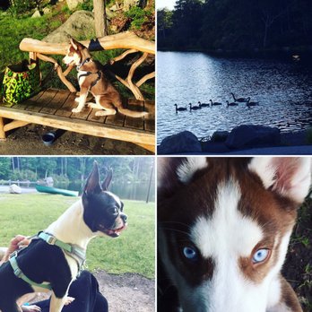 7 Lakes Drive - my babes enjoying the beauty; Tomoe and Inka. - Hiking Near Me 7 Lakes Drive - my babes enjoying the beauty; Tomoe and Inka. - Hiking Near Me
