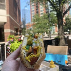 Chicago Dog