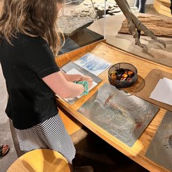 user provided Asheville Museum of Science photo