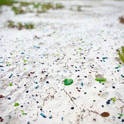 South Texas Botanical Gardens & Nature Center - It's a sea of sea glass