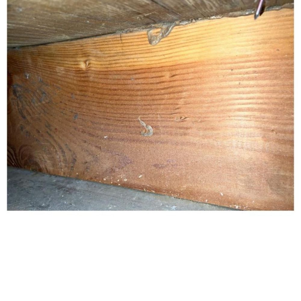 One Speed Services - Damage Restoration Near Me - Aurora, Oregon One Speed Services - Damage Restoration Near Me - Aurora, Oregon