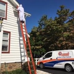Quest Termite & Pest Management