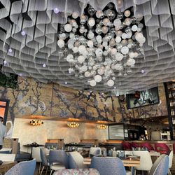 Experience Zuzu, Nashville