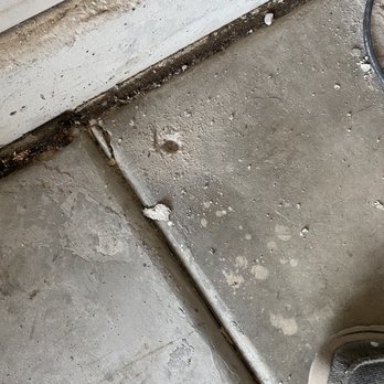 Truly Nolen Pest & Termite Control - Look at the plug that came off...hole is not even 1 inch down. DO YOUR JOB! - Pest Control Near Me - Peoria, Arizona Truly Nolen Pest & Termite Control - Look at the plug that came off...hole is not even 1 inch down. DO YOUR JOB! - Pest Control Near Me - Peoria, Arizona
