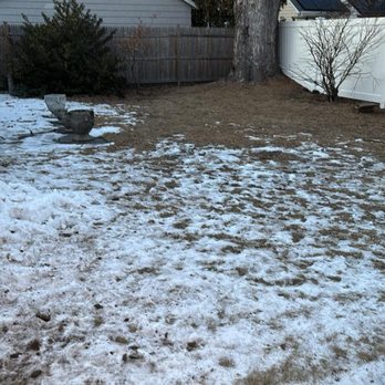 Fence101 - Back fence - Fences & Gates Near Me