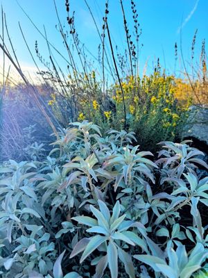 North Etiwanda Preserve by null