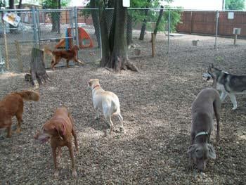 RED WOOF LODGE - Updated December 2024 - 12640 IN-57, Evansville